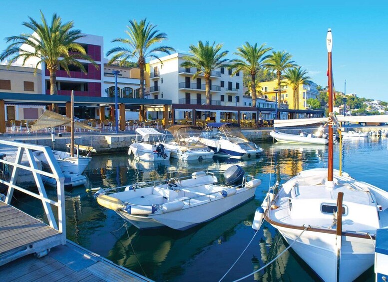 Picture 2 for Activity Mallorca: Catamaran Coastal Cruise with Lunch