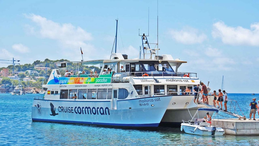 Mallorca: Catamaran Coastal Cruise with Lunch
