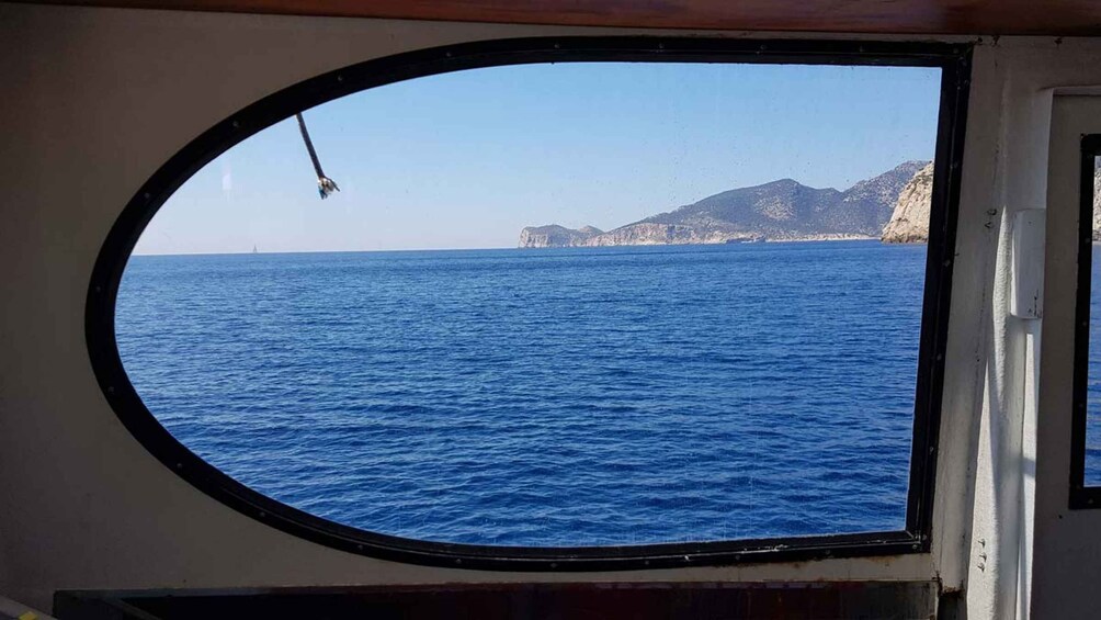 Picture 9 for Activity Mallorca: Catamaran Coastal Cruise with Lunch