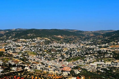 Vanuit Amman: Sightseeing Tour naar Ajlun en Jerash