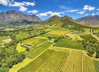 Cape Town: Heldagstur med vinsmaking og vin-trikk