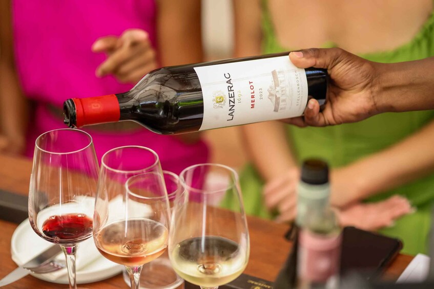 Picture 11 for Activity Cape Town: Full-Day Wine Tasting Tour with Wine Tram