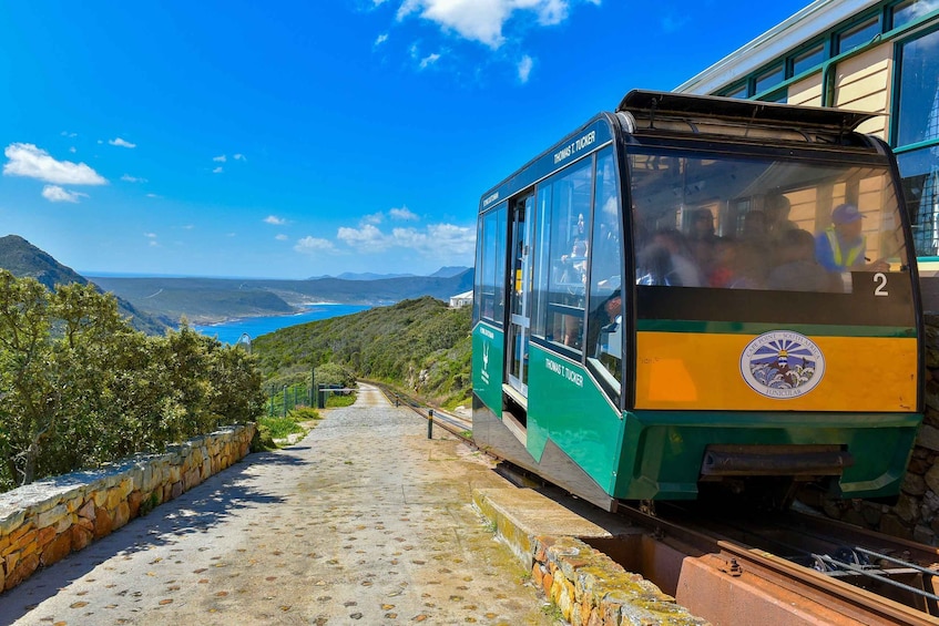 Picture 11 for Activity Cape Town: Full-Day Wine Tasting Tour with Wine Tram