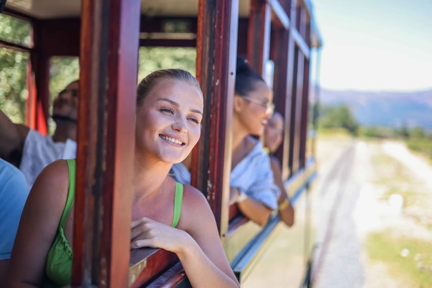 Cape Town: Full-Day Wine Tasting Tour with Wine Tram