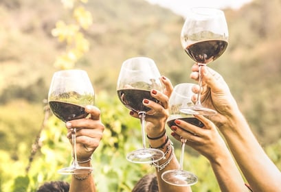 Cape Town: Heldagstur med vinsmaking og vin-trikk