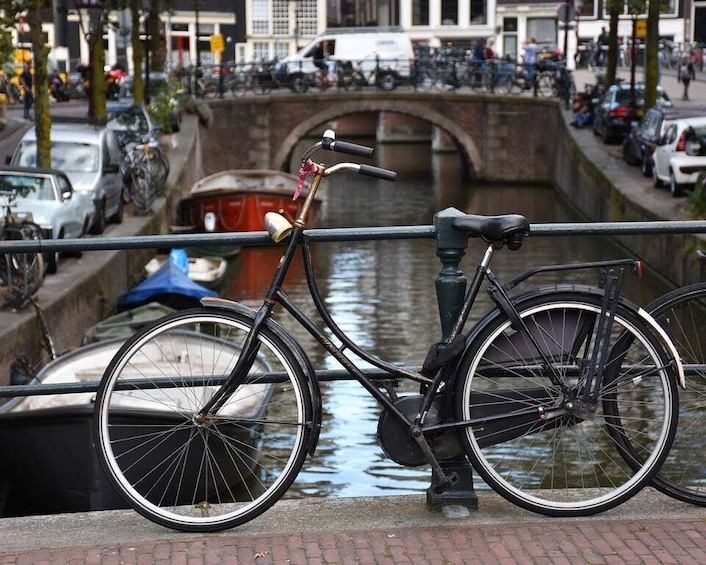Picture 3 for Activity Amsterdam: 3-hour Countryside Bike Tour