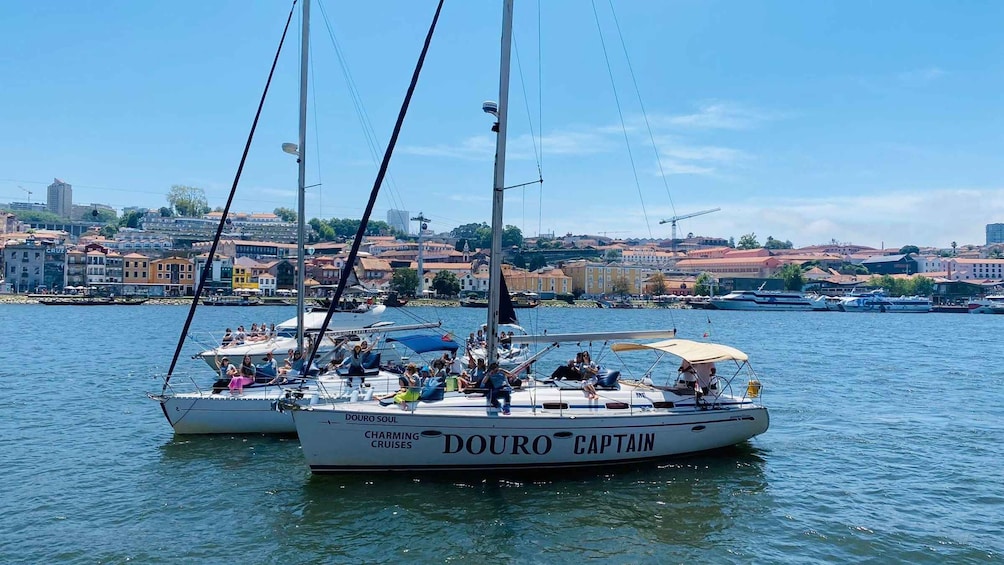 Picture 32 for Activity Porto: Private Douro River Charming Sailboat Cruise w/Wine