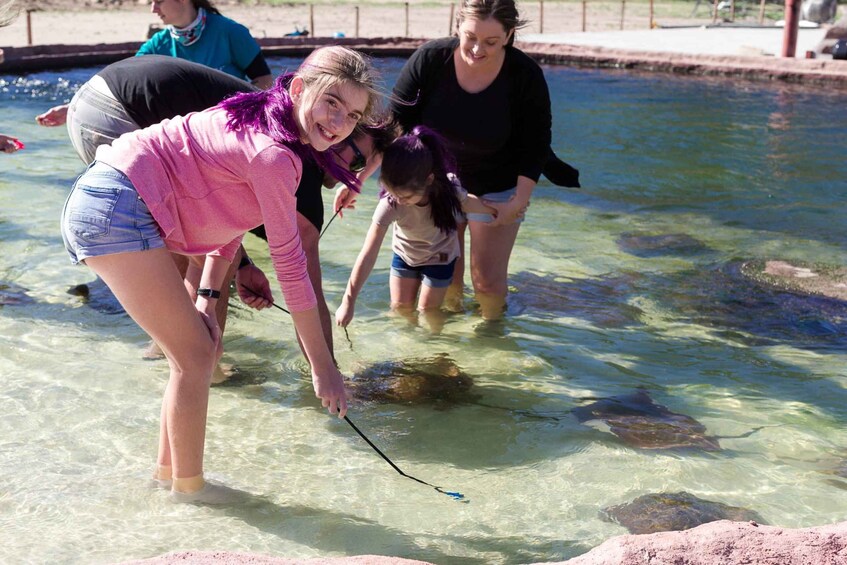 Picture 3 for Activity Anna Bay: Irukandji Entry and Shallow Water Shark Encounter