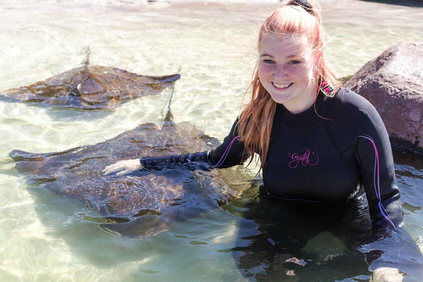 Picture 2 for Activity Anna Bay: Irukandji Entry and Shallow Water Shark Encounter