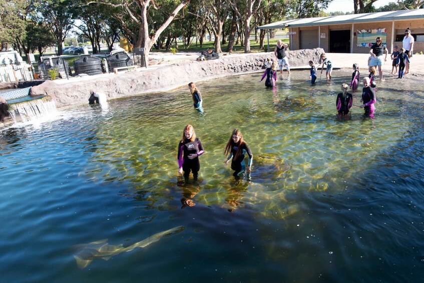 Picture 1 for Activity Anna Bay: Irukandji Entry and Shallow Water Shark Encounter