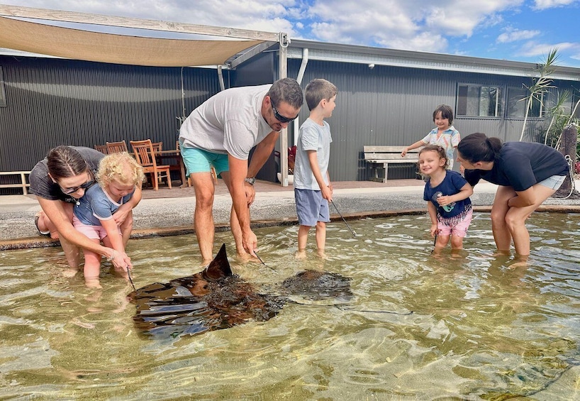 Anna Bay: Irukandji Entry Pass with Shallows Encounter