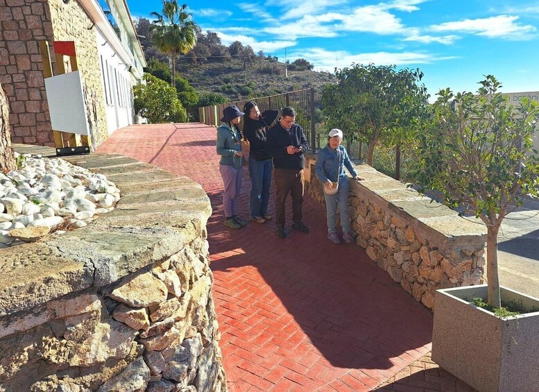 Picture 7 for Activity From Malaga or Marbella: Nerja & Frigiliana Day Tour