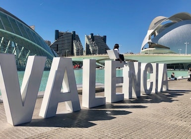 Valencia: Privat halvdagstur med bil