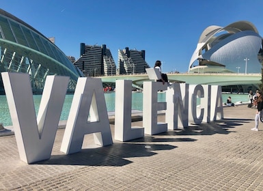 Valencia: Private Halbtagestour mit dem Auto