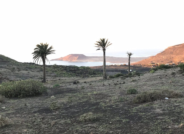 Picture 13 for Activity Lanzarote: Hike the North of Lanzarote