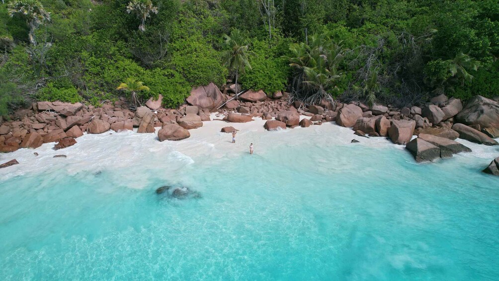 Picture 3 for Activity Praslin: Curieuse StPierre Guided Tour, BBQ & 2x Snorkeling