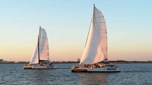 La Rochelle: Catamaran Cruise