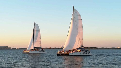 La Rochelle: Catamaran Cruise