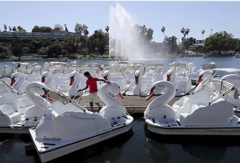 Picture 1 for Activity Echo Park Lake: Swan Pedal Boat Rental