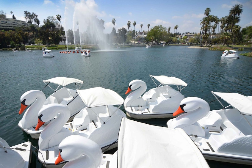 Picture 6 for Activity Echo Park Lake: Swan Pedal Boat Rental