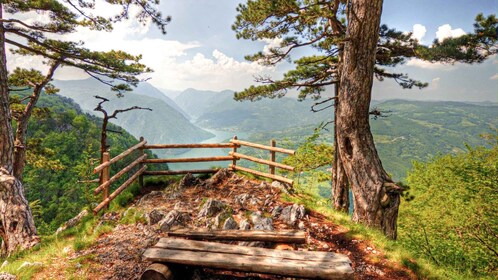 Serbia: Drina River House & Tara National Park Full Day Tour