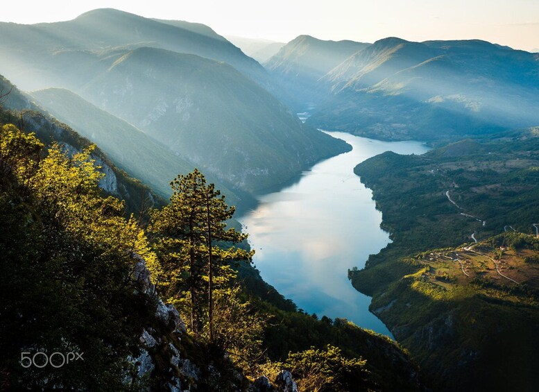 Picture 4 for Activity Serbia: Drina River House & Tara National Park Full Day Tour