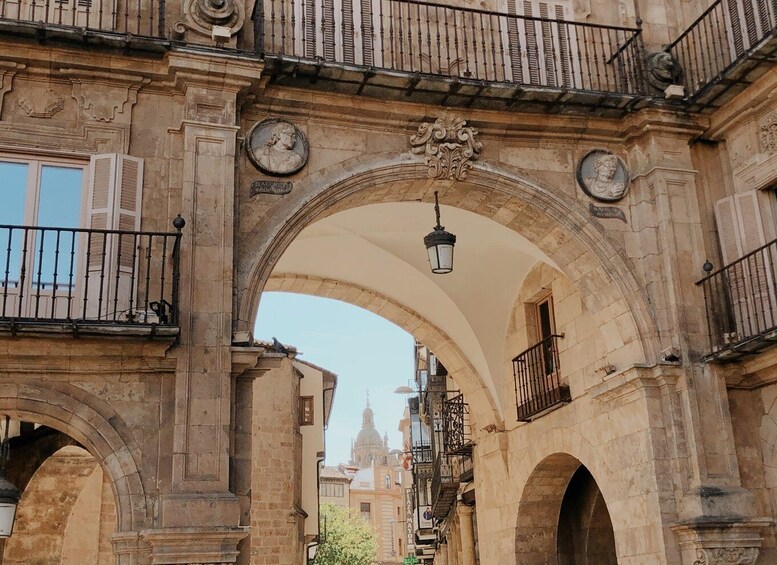 Picture 3 for Activity From Madrid: Day Trip to Salamanca with Private Tour