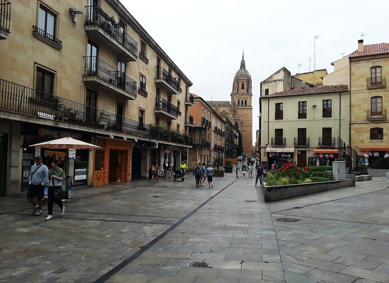 Picture 4 for Activity From Madrid: Day Trip to Salamanca with Private Tour