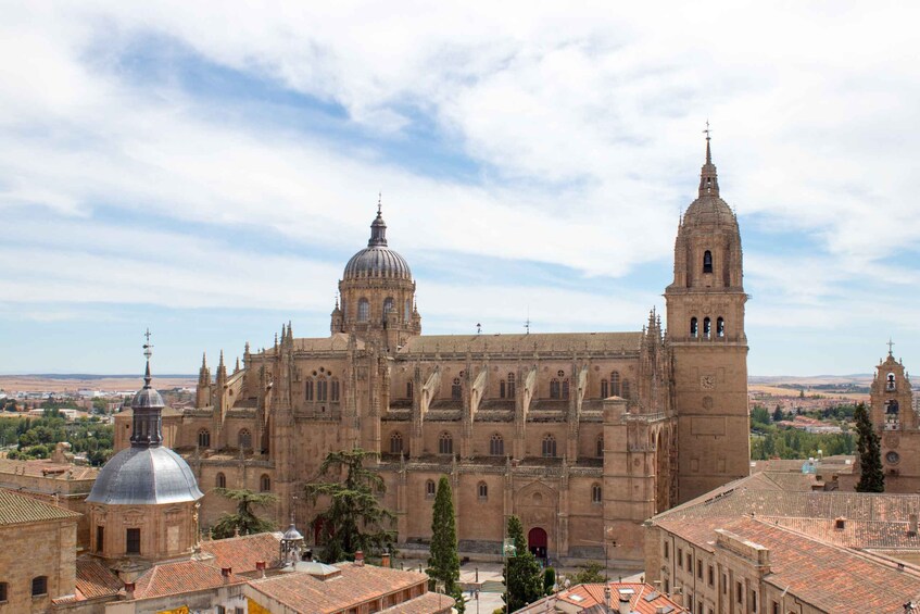 Picture 1 for Activity From Madrid: Day Trip to Salamanca with Private Tour