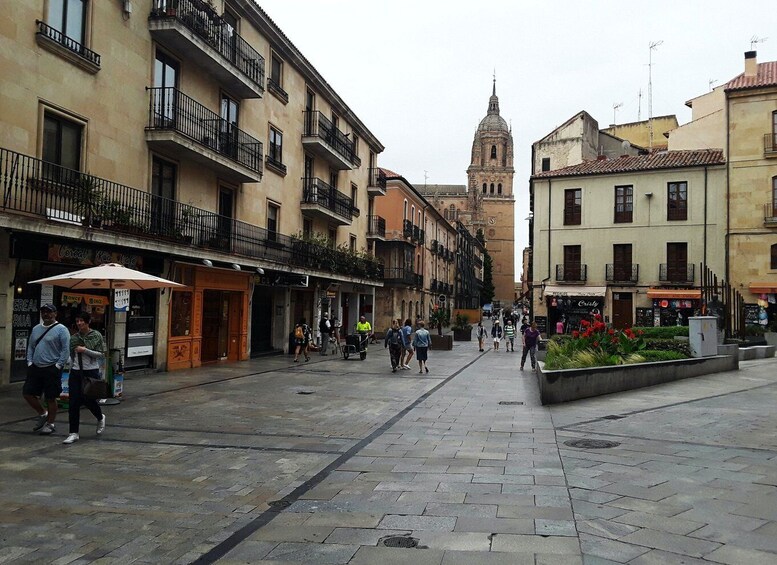 Picture 4 for Activity From Madrid: Day Trip to Salamanca with Private Tour