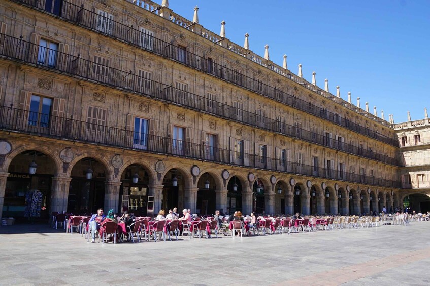 From Madrid: Day Trip to Salamanca with Private Tour