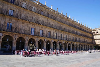 De Madrid: excursion d'une journée à Salamanque avec visite privée