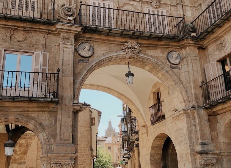 Picture 3 for Activity From Madrid: Day Trip to Salamanca with Private Tour