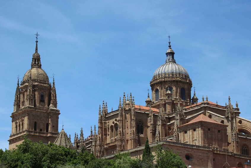 Picture 2 for Activity From Madrid: Day Trip to Salamanca with Private Tour