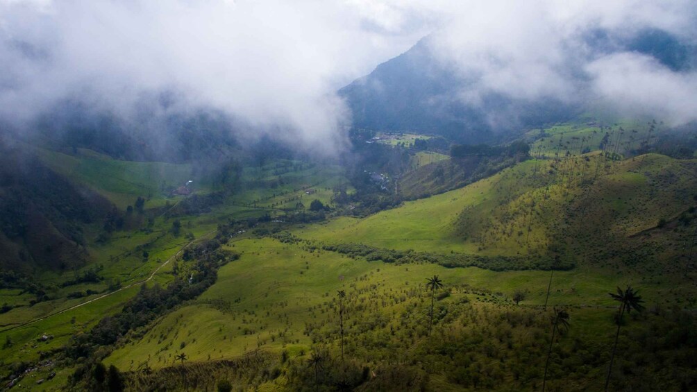 Picture 3 for Activity Pereira/Armenia: Private Cocora Valley & Salento Hiking Tour