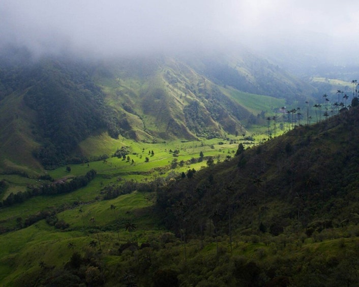 Picture 5 for Activity From Pereira/Salento: Guided Trek in the Cocora Valley