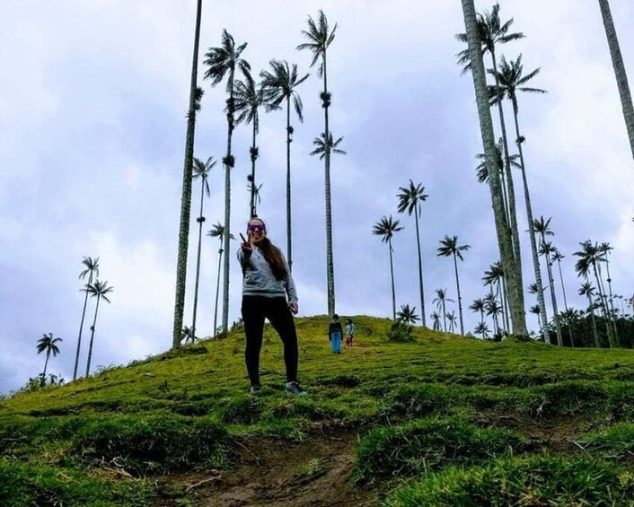 Picture 2 for Activity Pereira/Armenia: Private Cocora Valley & Salento Hiking Tour