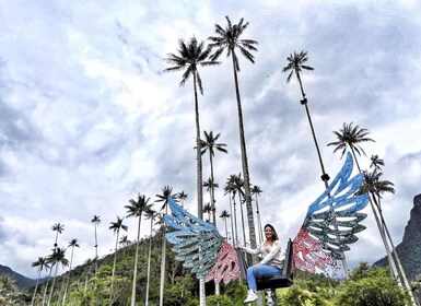 Salento/Pereira: Cocora Valley & Salento Hiking Private Tour