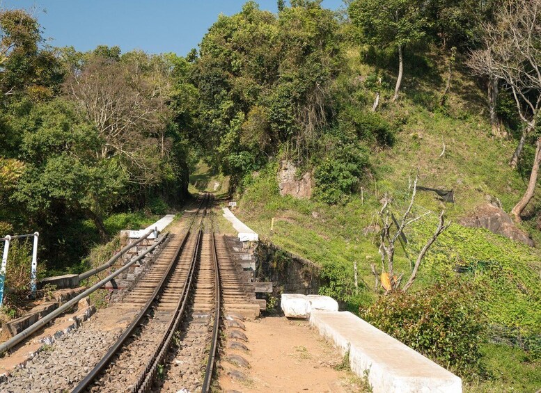 Picture 1 for Activity Cali: Guided Day-Trip to San Cipriano with Traditional Lunch