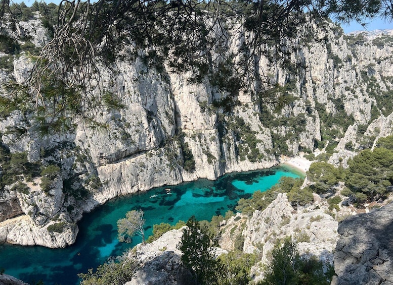 Picture 6 for Activity Cassis: Calanques National Park Guided Hiking Half-Day Trip