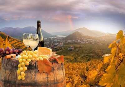 Wien: Weingut- und Weinverkostungstour mit einem Weinexperten