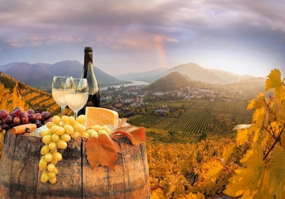 Vienne: visite de vignobles et dégustation de vin avec un expert en vin