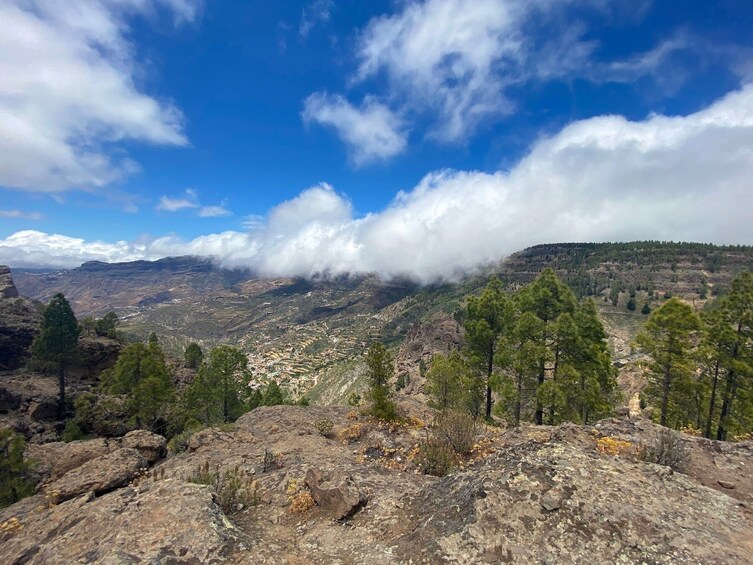 Gran Canaria Tour with Teror, Tejeda and Lunch in Fataga