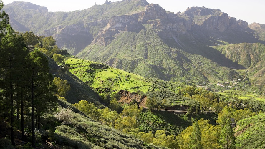 Full-Day Gran Canaria Highlights Tour