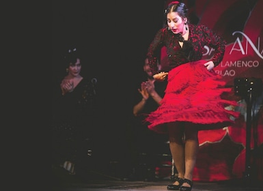 Granada: entrada a un espectáculo de flamenco en vivo en Casa Ana