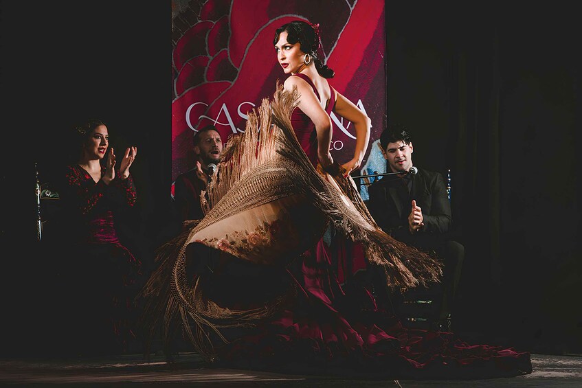 Picture 9 for Activity Granada: Live Flamenco Show at Casa Ana Entry Ticket