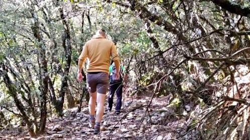 Marbella: ทริปเดินป่าอุทยานแห่งชาติ Sierra de las Nieves วันเดย์ทริป