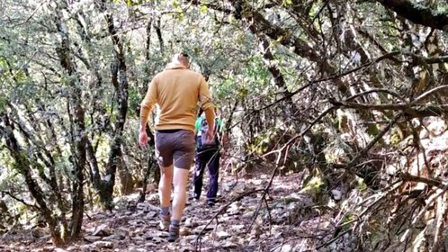 Marbella: Excursión de un día al Parque Nacional de la Sierra de las Nieves