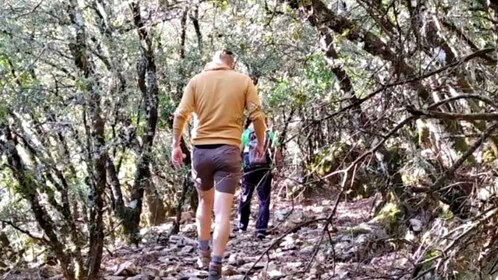 Marbella: Wandertag im Nationalpark Sierra de las Nieves