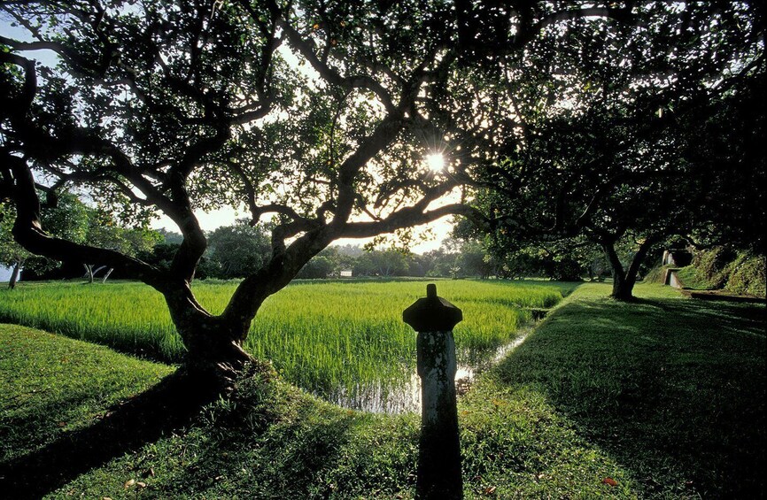 Picture 5 for Activity From Bentota or Beruwala: Geoffrey Bawa Country Estate Tour